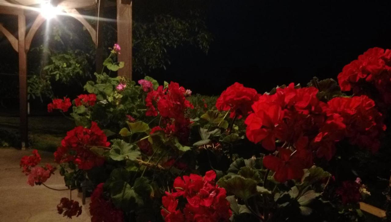 Homestay Goscinne Gazda Polanica-Zdroj